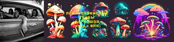 соль ск Елабуга